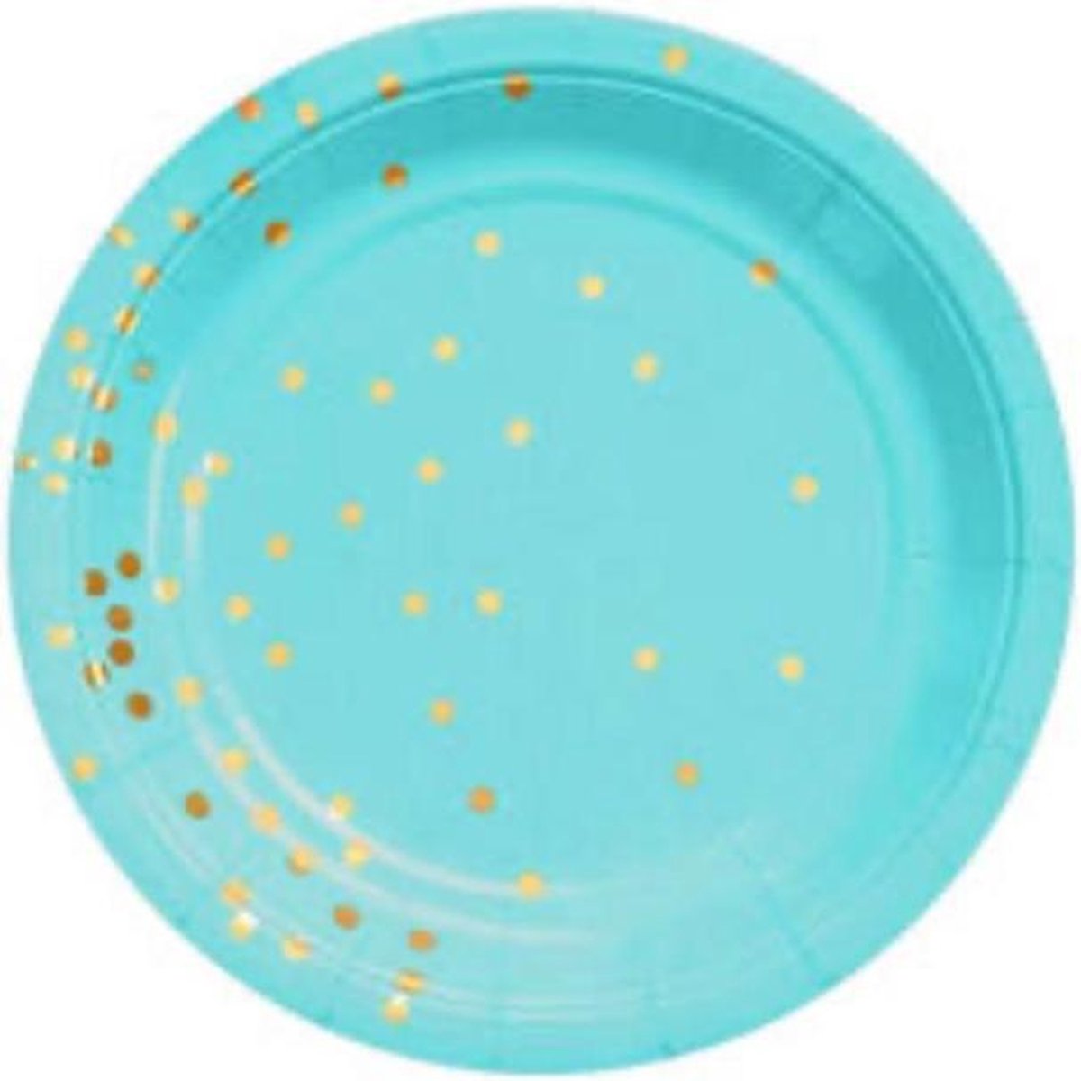 Kartonnen Bordjes licht blauw  met stippen 18cm 10st - Wegwerp borden - Feest/verjaardag/BBQ borden / Gebak bordjes maat - feestjes - Babyshower