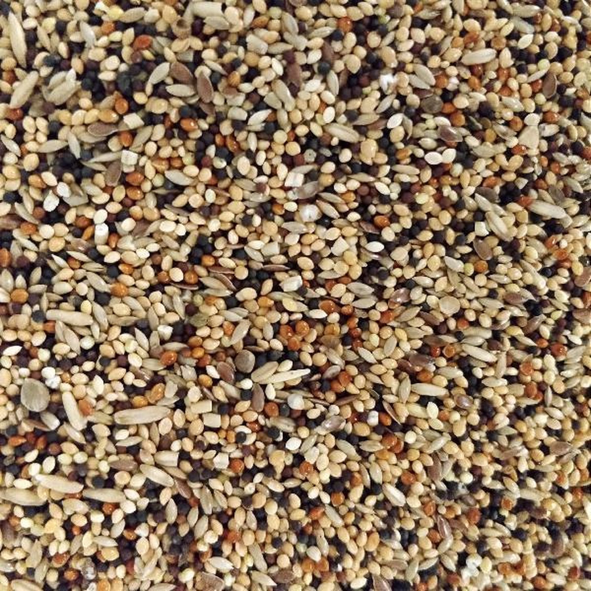 Garvo volièrezaad 5343 - 1kg