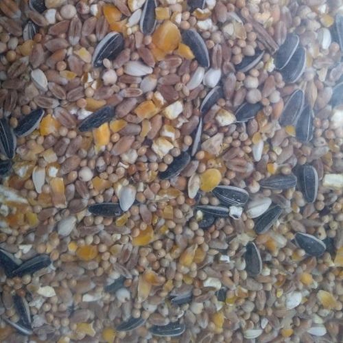 Strooivoer - 20KG - Vogelvoer