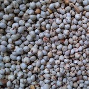 Dari Wit | Partikel | Karper aas | 10KG