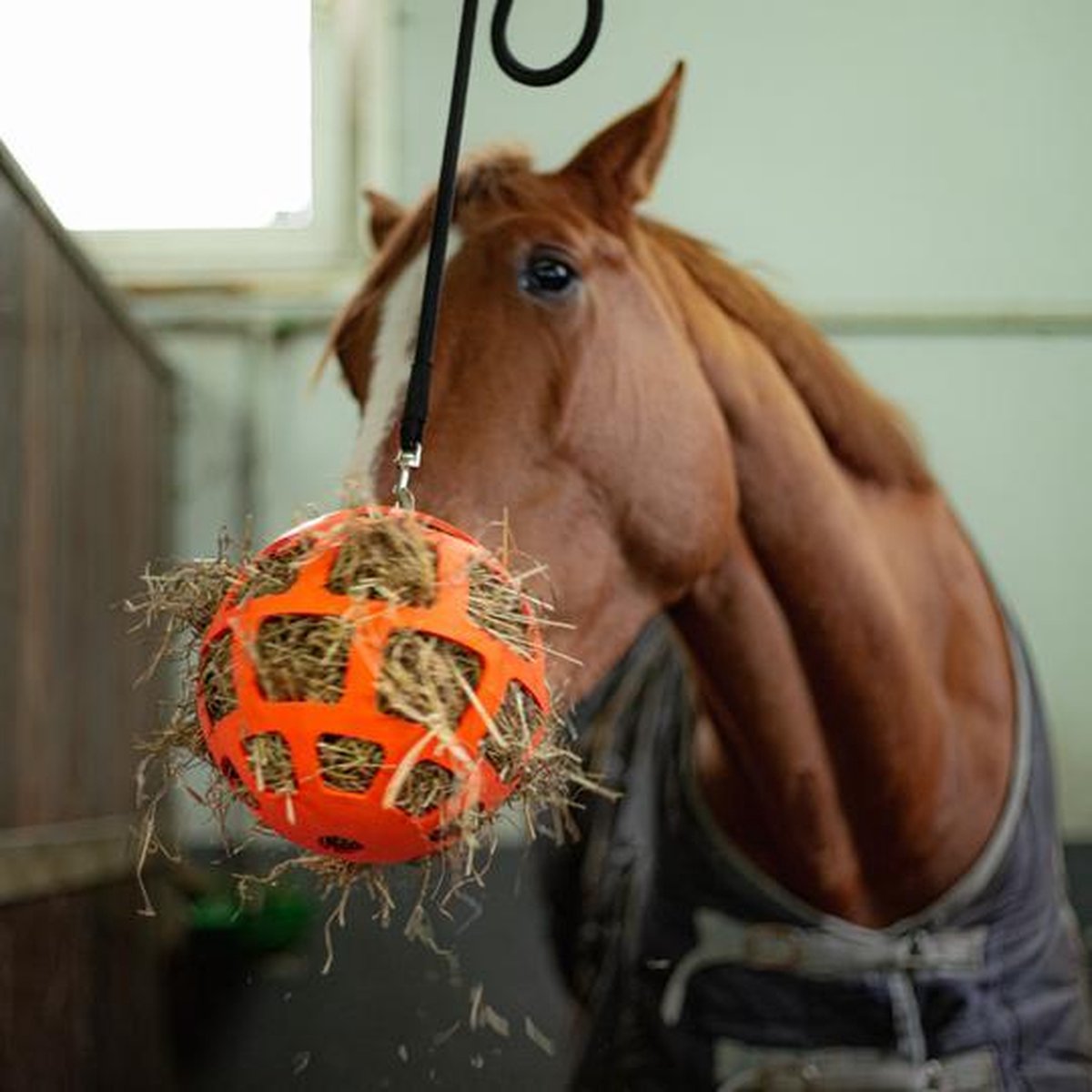RelaxPets - Hay Slowfeeder - Fun and Flex - 22 cm - Oranje - Flexibel - Volledig Veilig