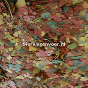 GOUDVIS VLOKKEN 50g