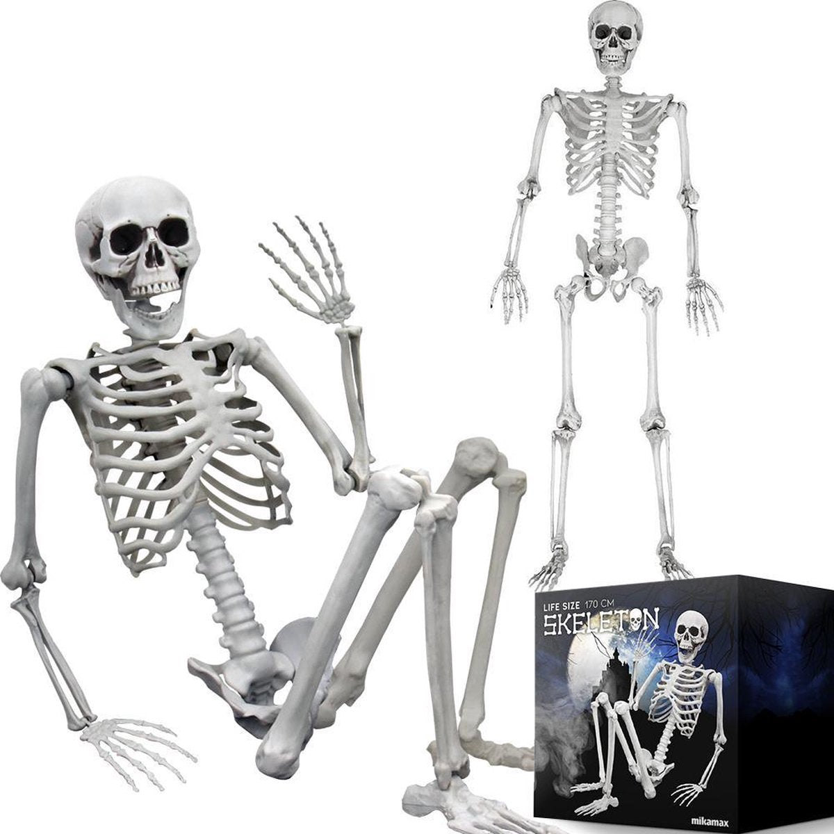 MikaMax Human Size Skelet - Feestdecoratie - Skelet - Halloween Decoratie - 170 cm