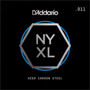 NYS011