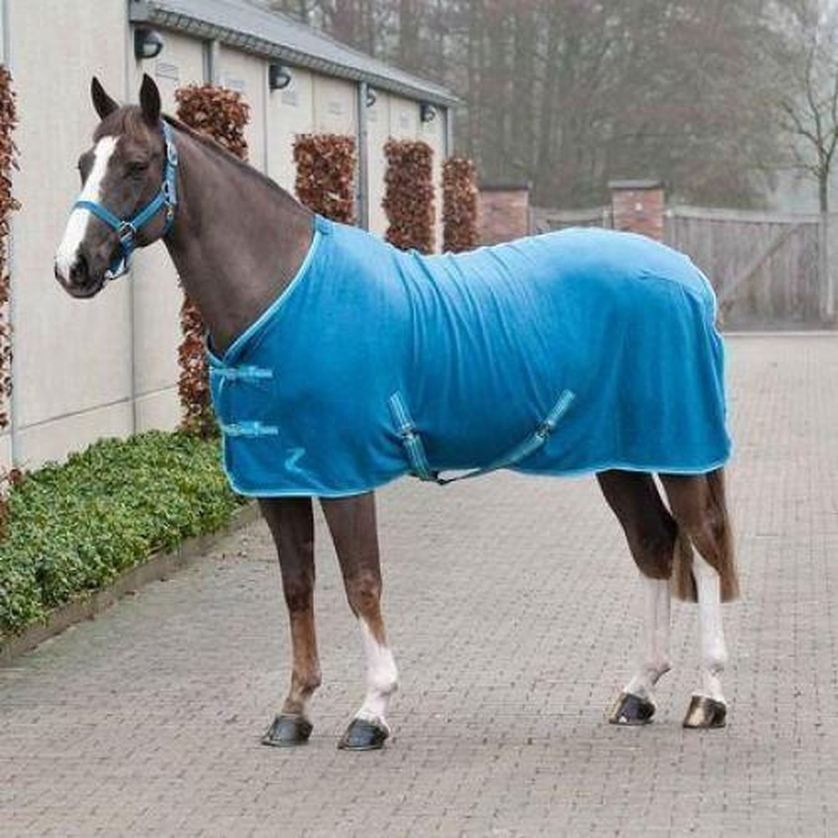 Base Fleece Horze-195-Turquoise