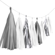 Tassel Slinger Zilver Mix - 3 Meter