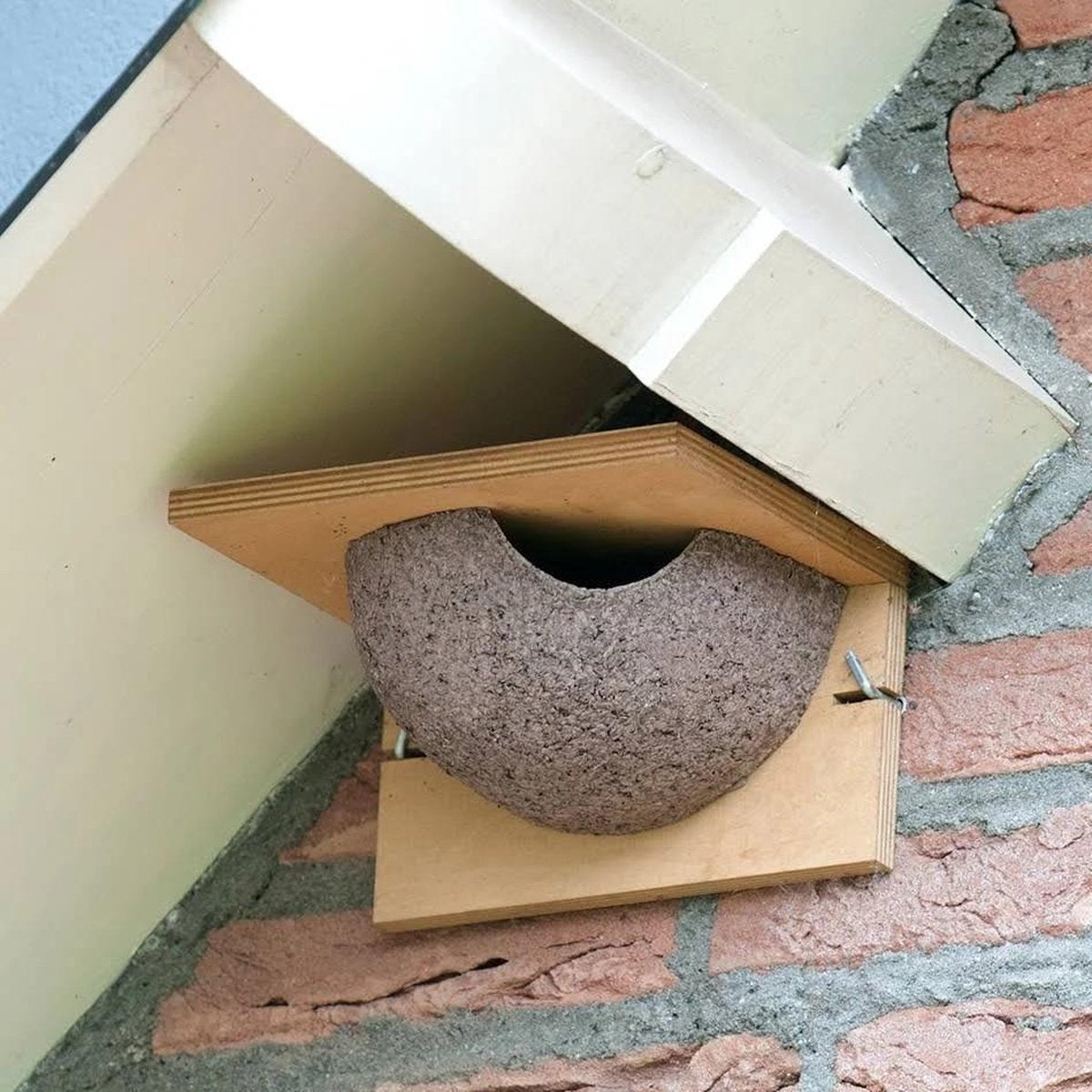 Zwaluwnestkast enkel - huiszwaluwen - set van 2 stuks