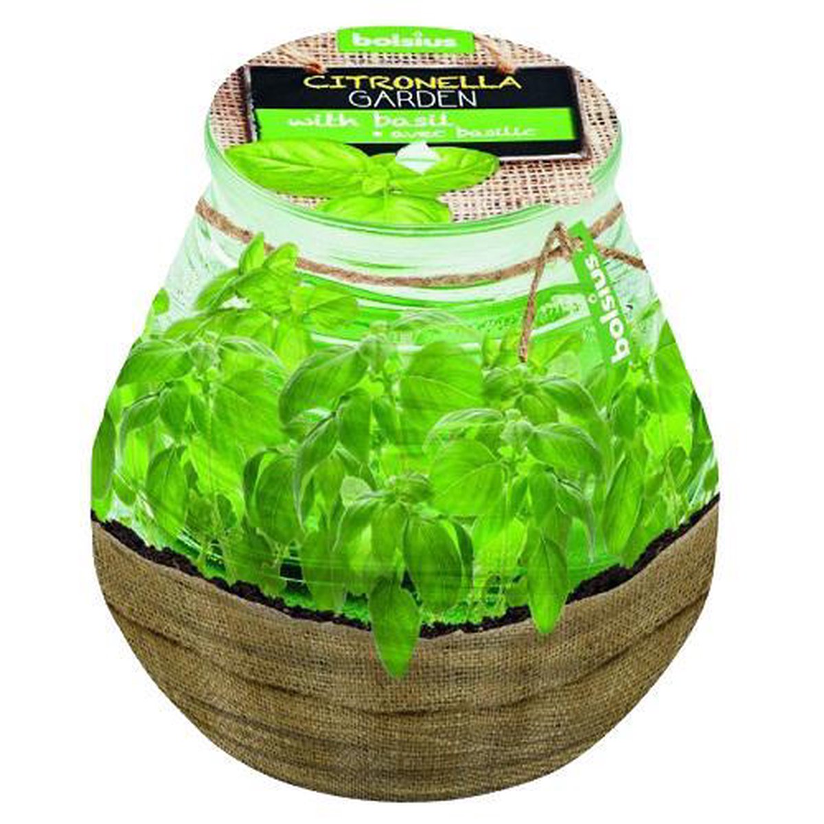 Bolsius - Patiolight - Gegeurd - Basilicum