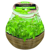 Bolsius - Patiolight - Gegeurd - Basilicum