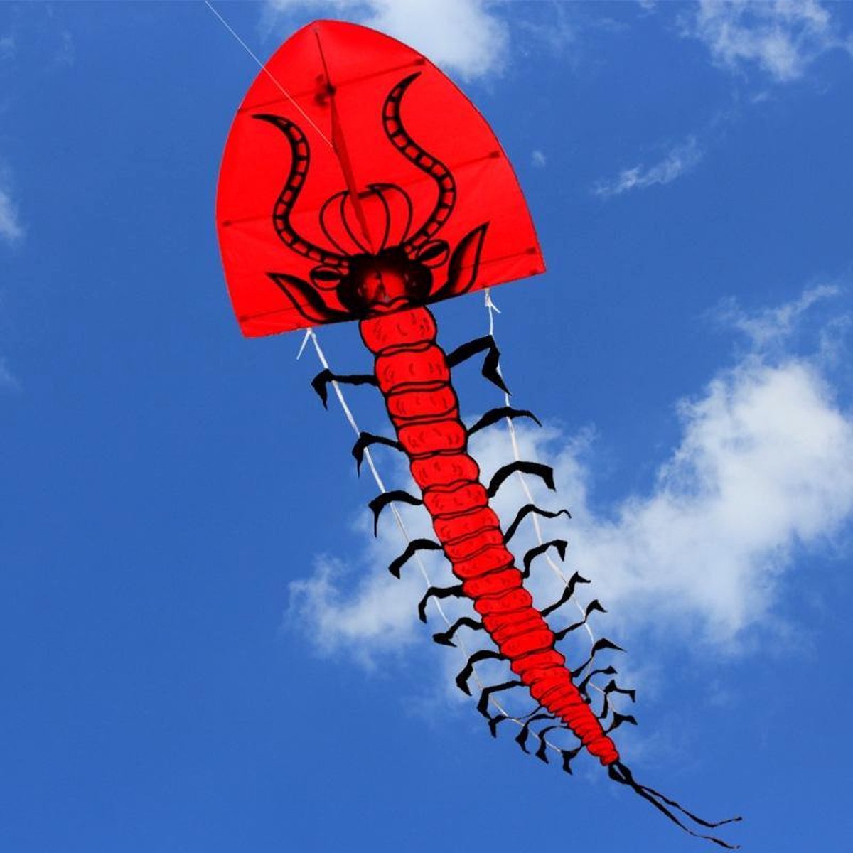 Pro-Care Vlieger SUPER SIZED Centipede maat 7 meter hoog en 1meter breed. Enjoy the Sky!