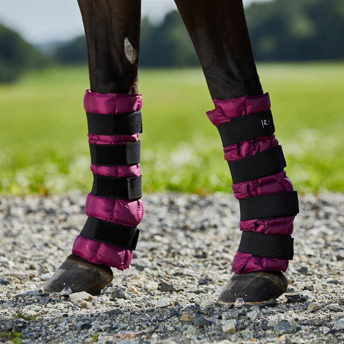 Horze Koelbandage (1 paar) Raspberry one size