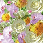 Papstar Springflowers Servetten - 33 x 33 cm - 20 stuks