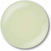 NSI Polish Pro Sage it Ain't So