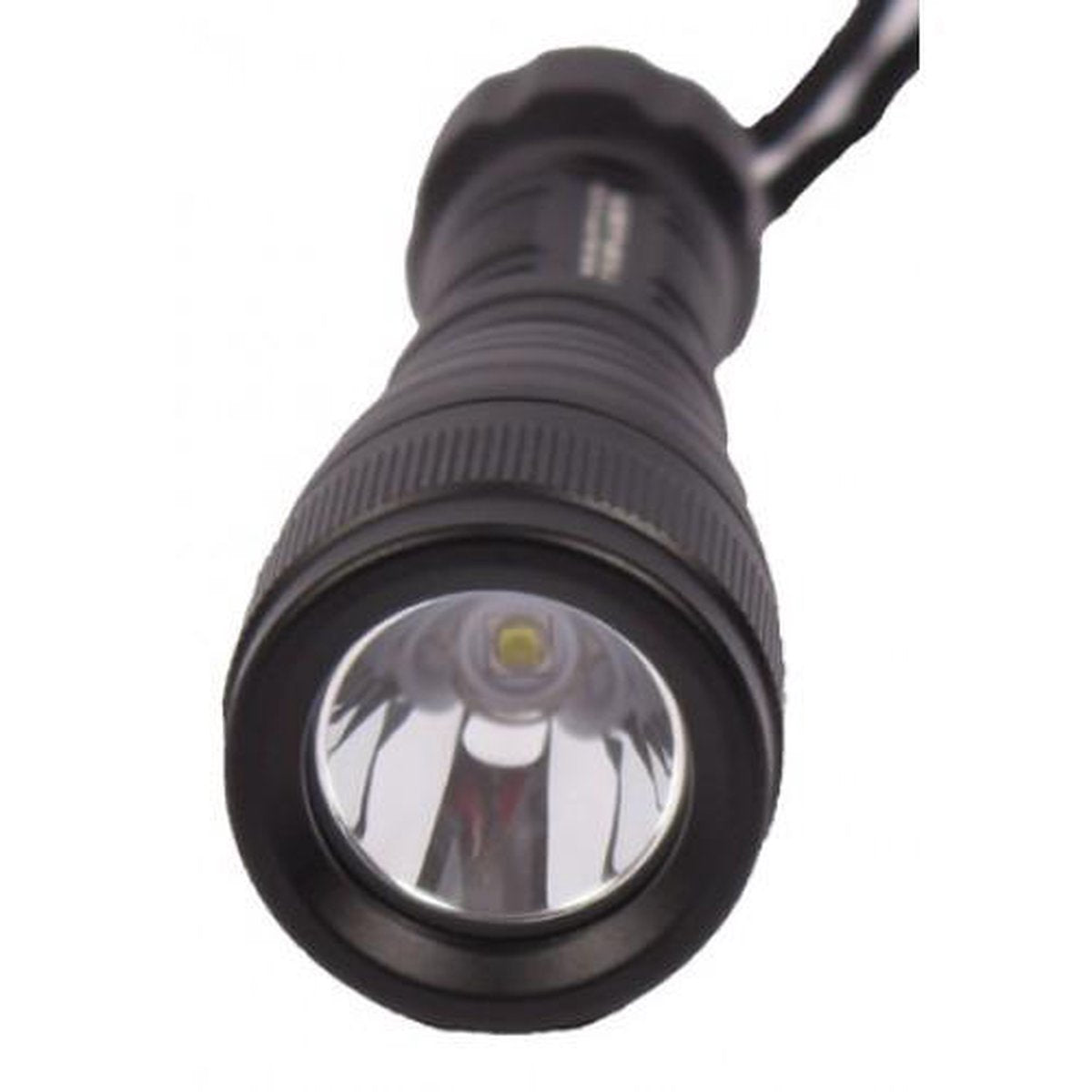 Prolight 800