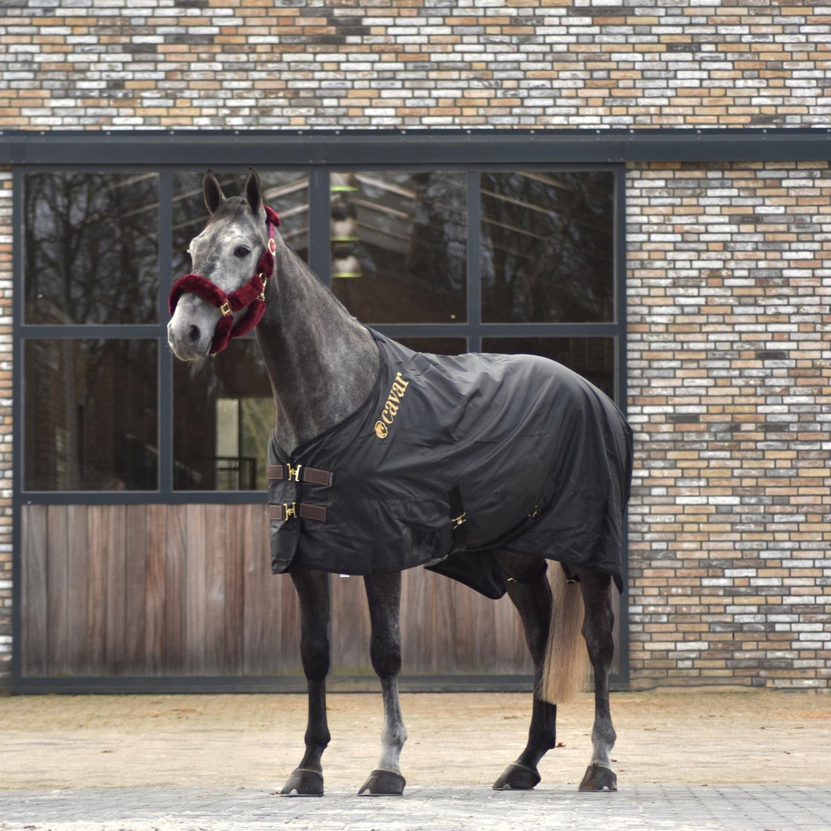 Cavar Winterdeken 300 gram Zwart 205cm