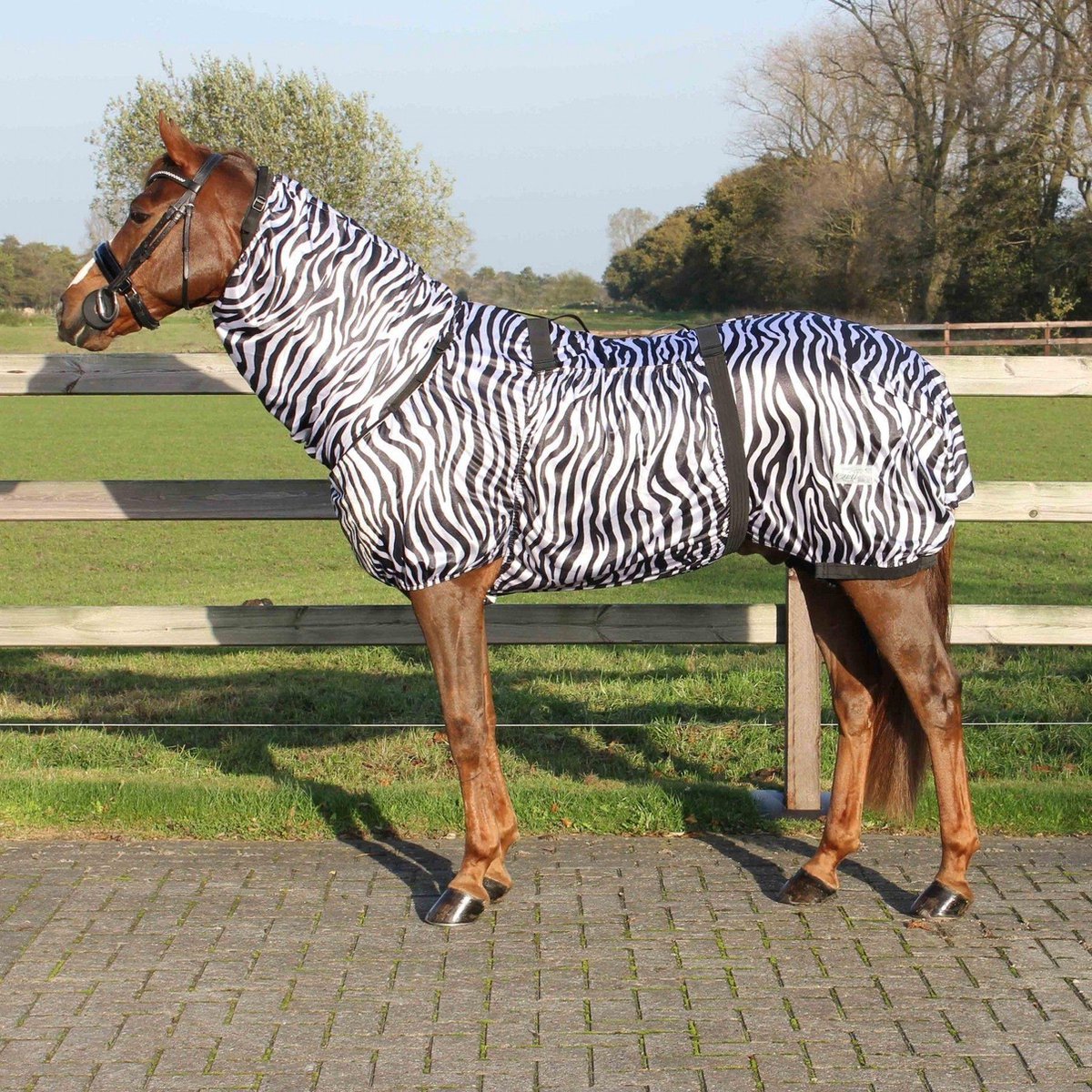 QHP Eczeemdeken - Zebra Print - M