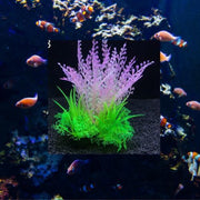 Dierplezier - Aquarium decoratie - Koraal - Kunstplant Aquarium - Planten voor aquarium - Mooie plantendecoratie –Plantenbundel - Aquariumdecoratie 14cm x 8cm - Aquariumversiering - Benodigdheden aquarium