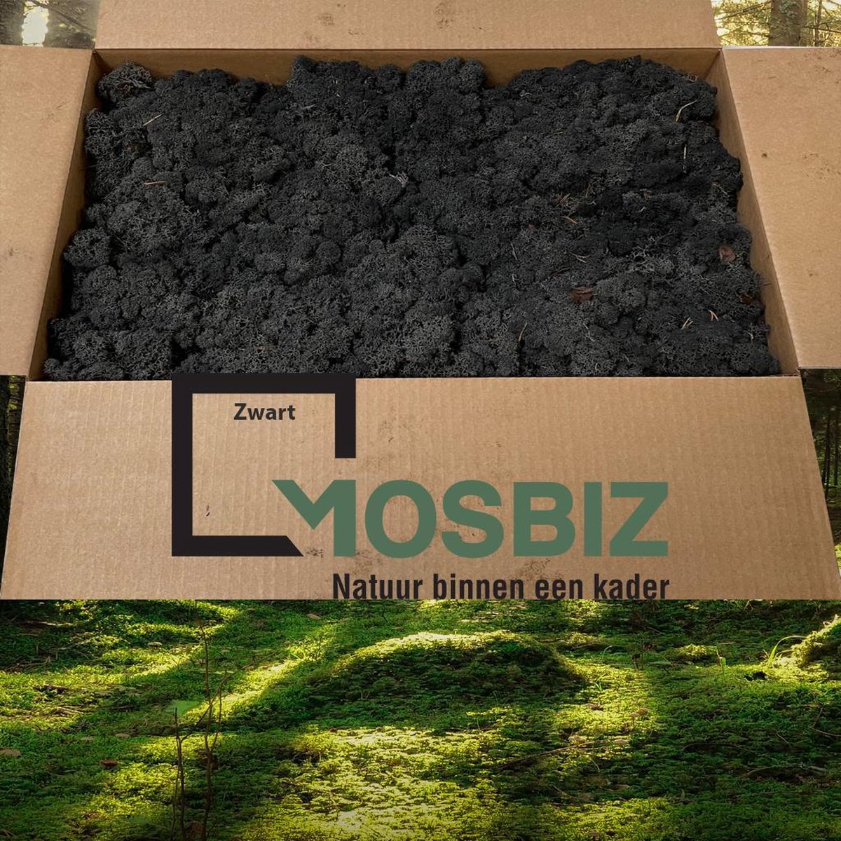 MosBiz Rendiermos Zwart 2 laags (2
