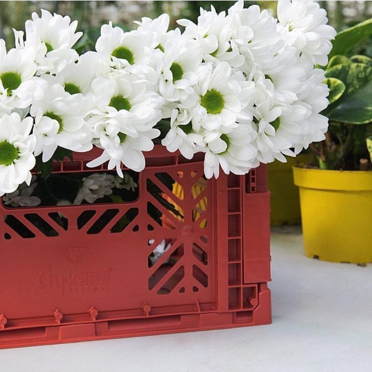 Opvouwbaar Krat - Tile red Medium
