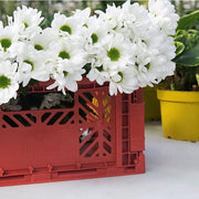 Opvouwbaar Krat - Tile red Medium