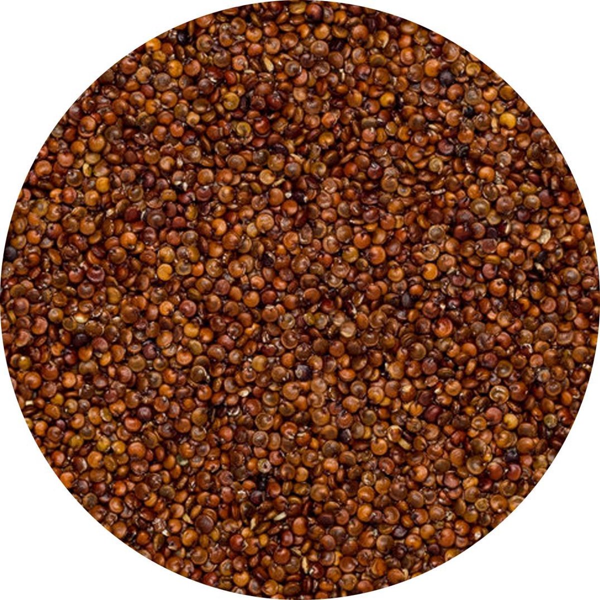 Quinoa Rood - 1 Kg - Holyflavours -  Biologisch gecertificeerd