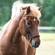 Borgarnes Hoofdstel