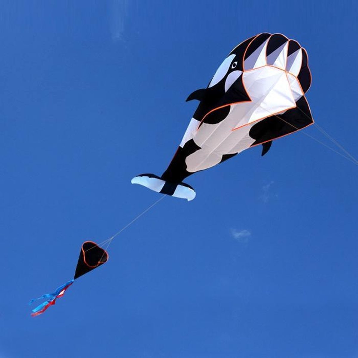 Apeirom Vlieger Orka 3D maat 1.20 meter breed en 2.15 meter hoog. Feel the wind!