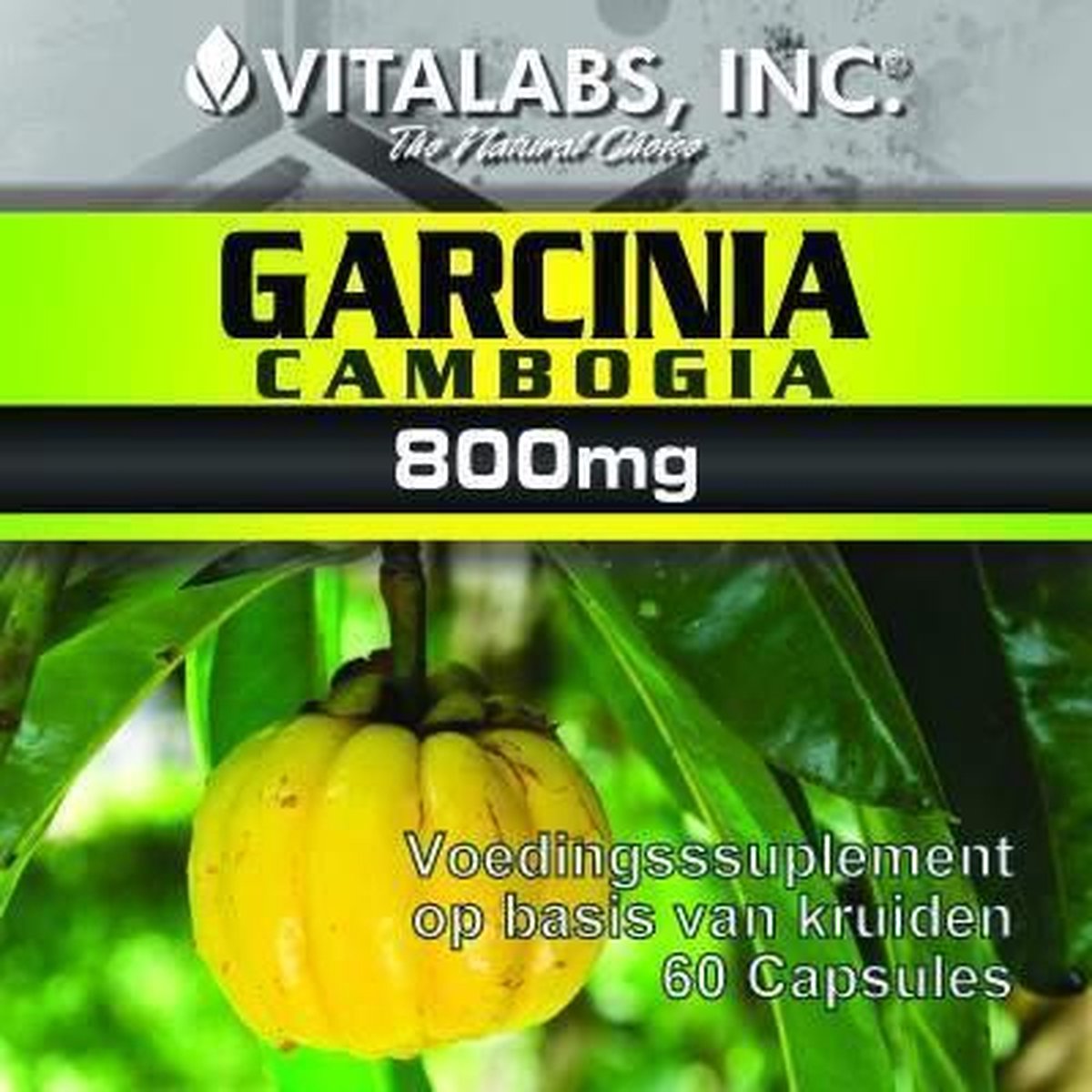 Garcinia Cambogia