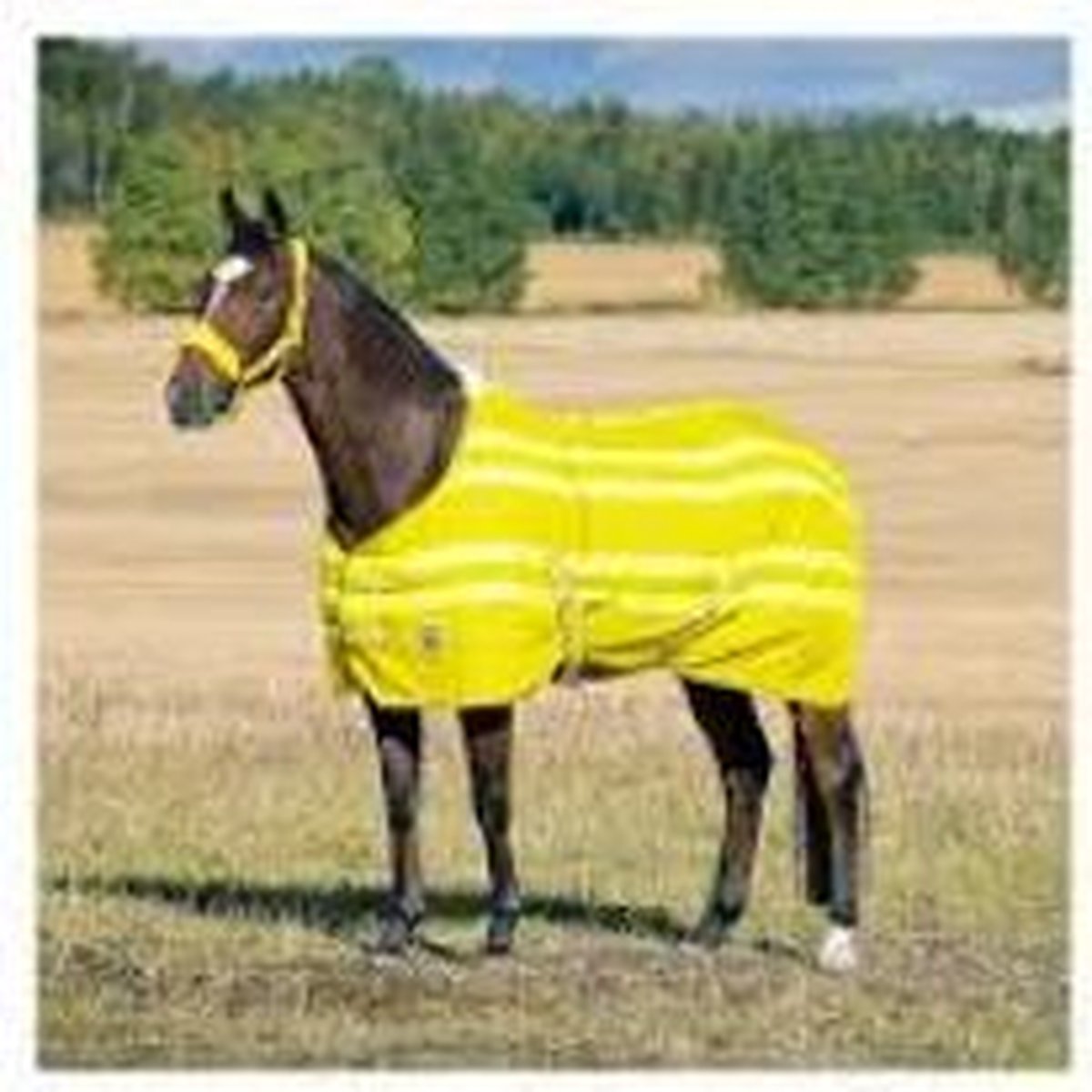 Spirit Brighton Polyester deken met fleece voering Geel 205 Horze