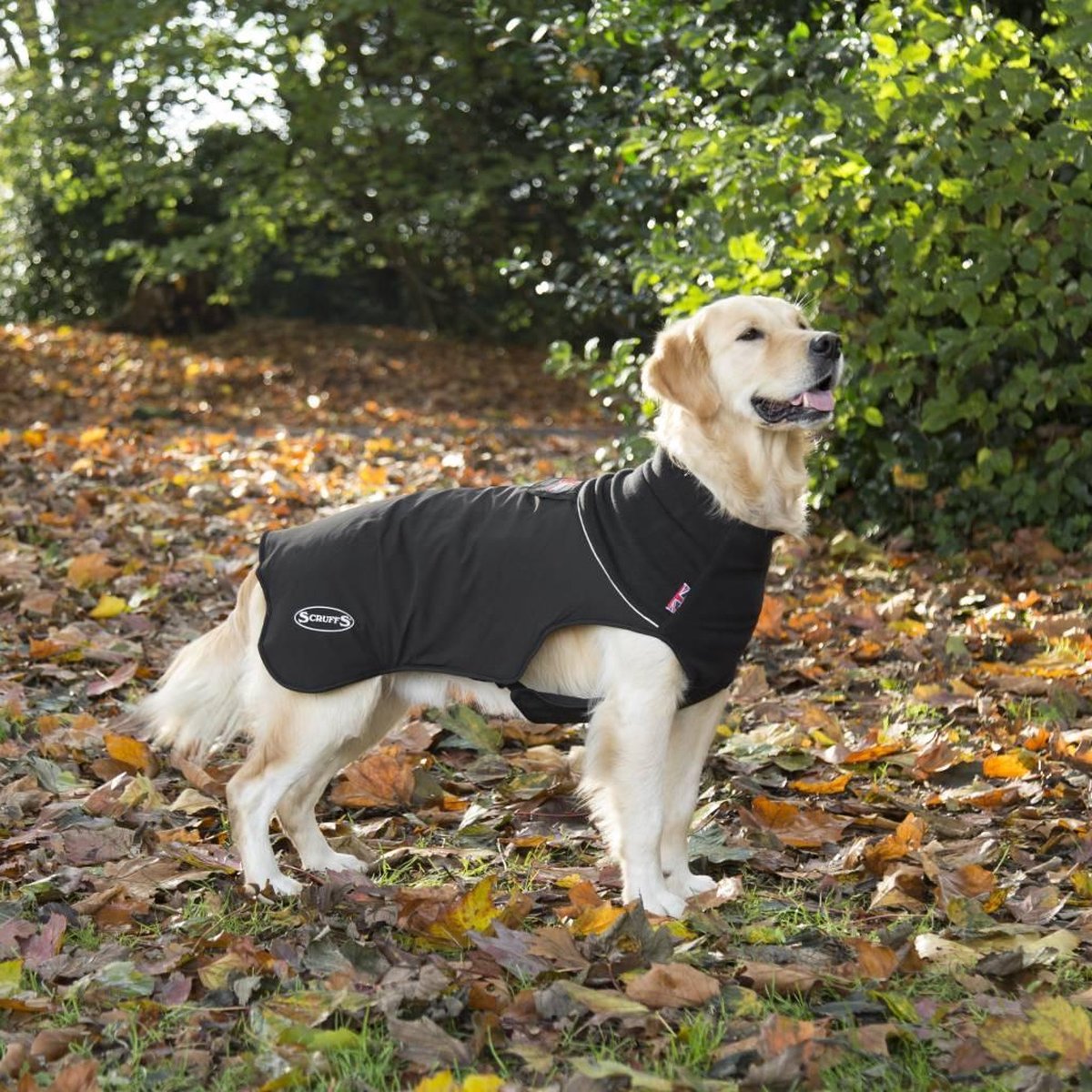 Scruffs Thermal Warme Hondenjas - Zwart - L 55 cm