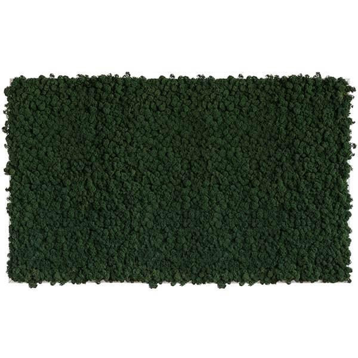 Stylegreen reindeer moss picture 100 x 60 CM mix