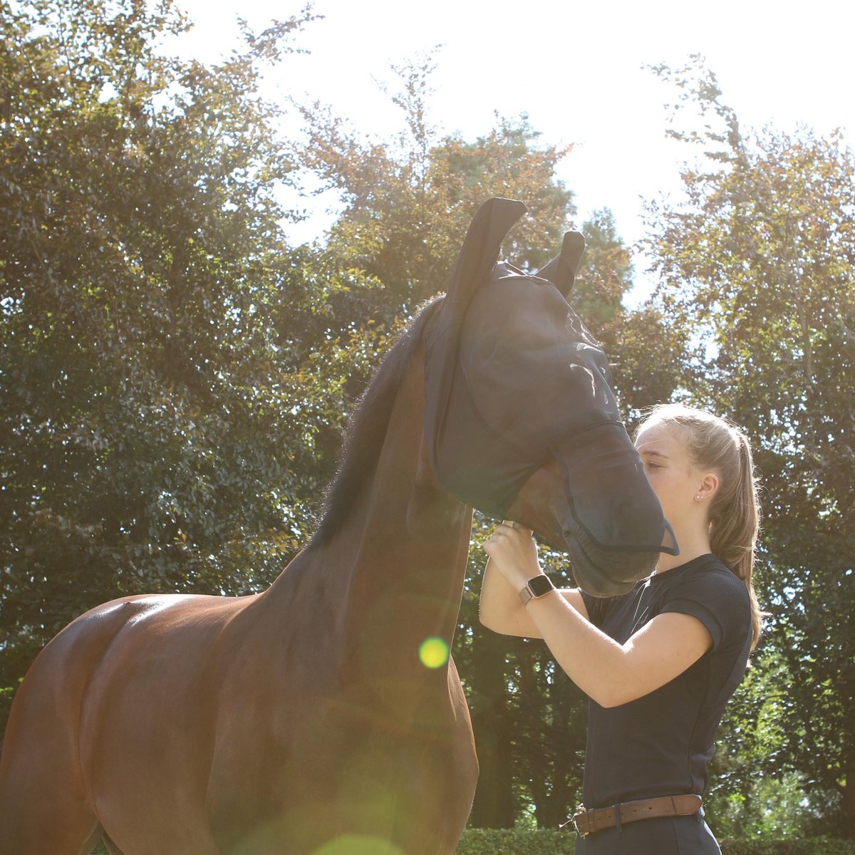 Cavar Vliegenmasker Cob - vliegenkap - paard - mesh
