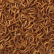 MEELWORMEN 10L 2100GR