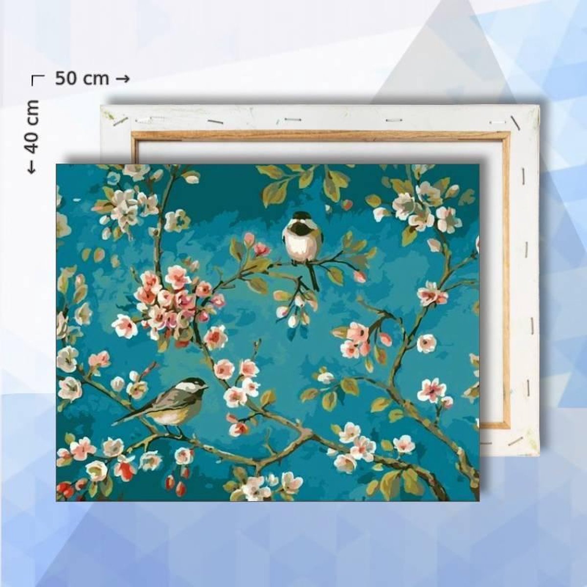 Schilderen op nummer pakket vogels op bloesem - 40 x 50 cm - met frame