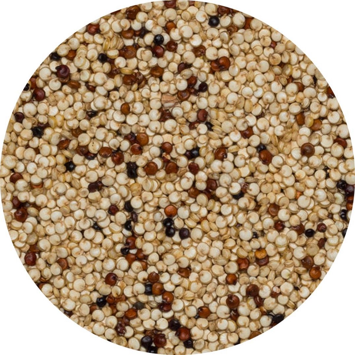 Quinoa Mix (rood