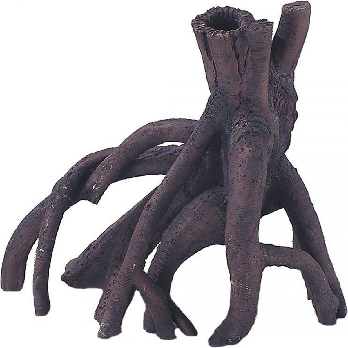 Auqa Della Mangrove M - 37x21