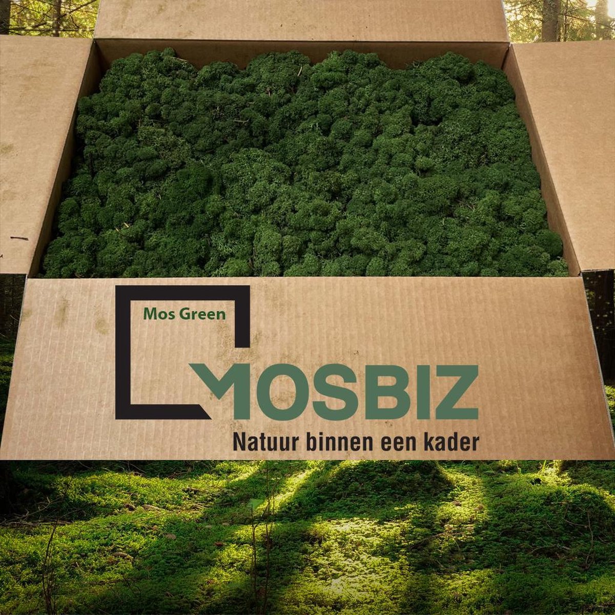 MosBiz Rendiermos Mos green 2 laags (2