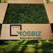 MosBiz Rendiermos Mos green 2 laags (2