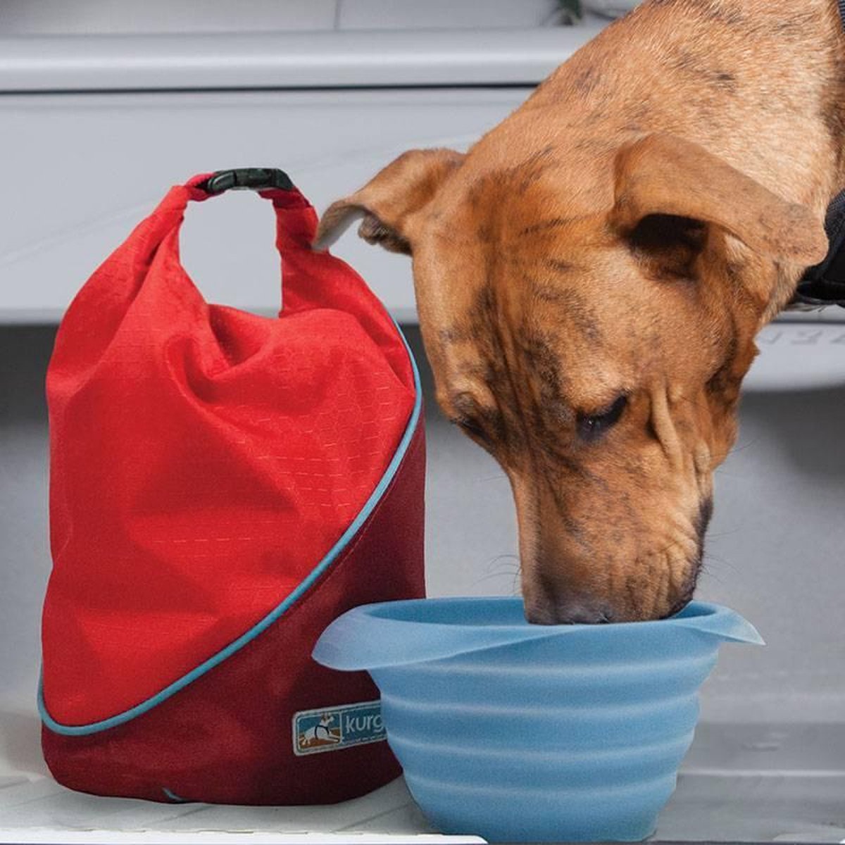 Tas voor Hondenvoer en Snacks - Verpak voer lucht- en waterdicht - Kurgo Kibble Carrier - Machine Wasbaar - Inhoud 2