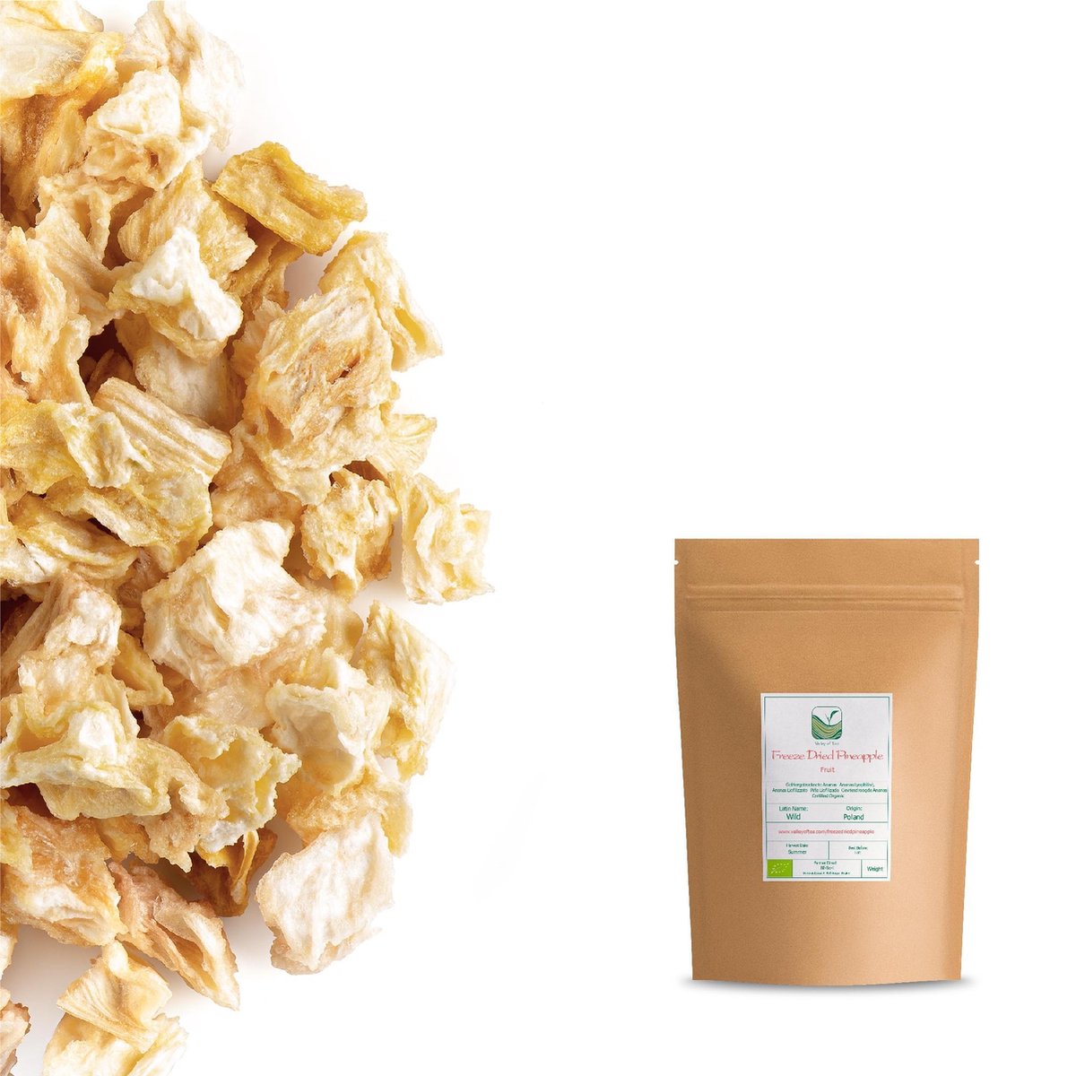 Gevriesdroogde Ananas Biologisch - 40g