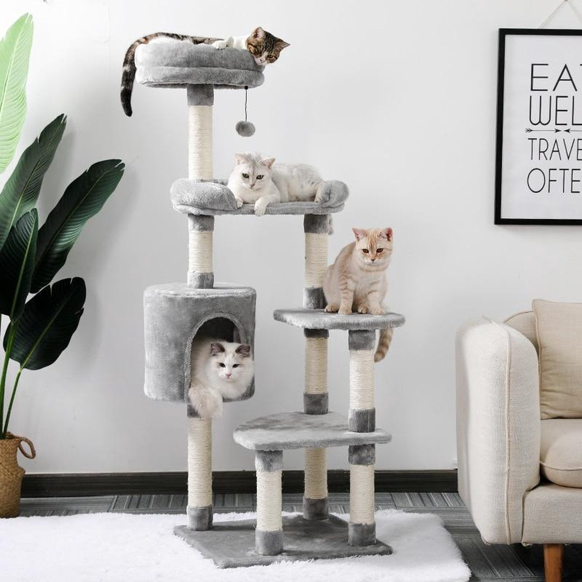 TBG Huisdier Krabpaal Toren Condo Huis Krabpaal Speelgoed voor Kat Kitten Kat Springen Speelgoed met Ladder Spelen Boom AMT0087GY