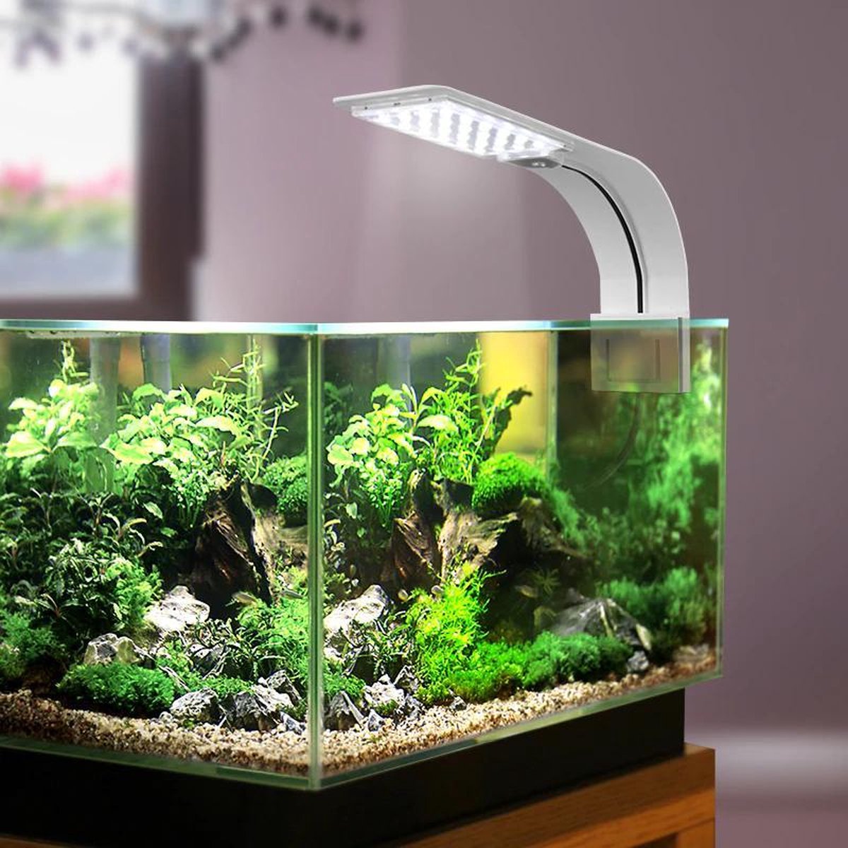 ProAqua - Aquariumverlichting - Groeilamp aquarium - LED verlichting aquarium - Aan/Uit knop aan stekker - 1 meter snoer - Aquarium verlichting LED  - Superfish alternatief