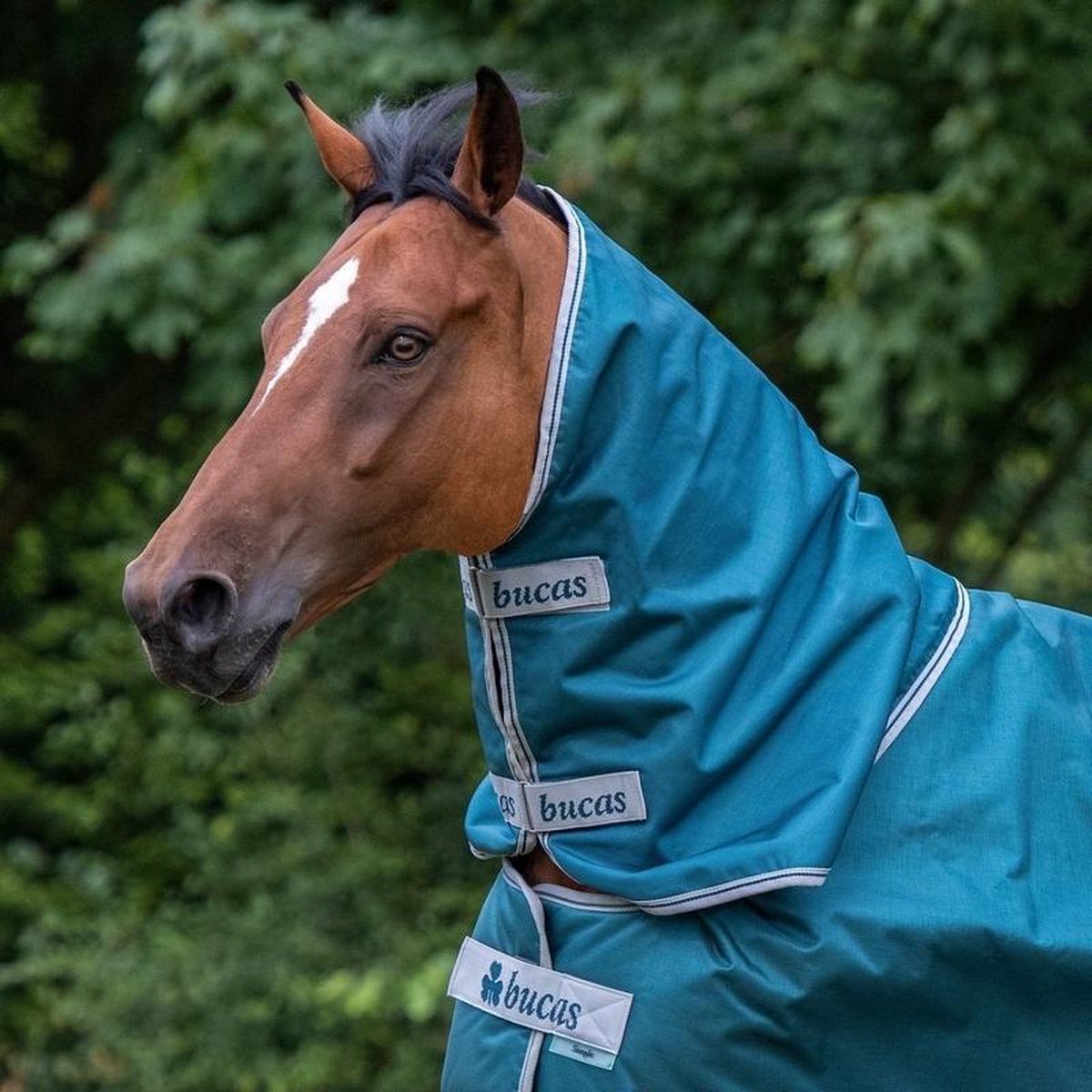 Bucas Atlantic Combi Neck Losse Hals S Groen