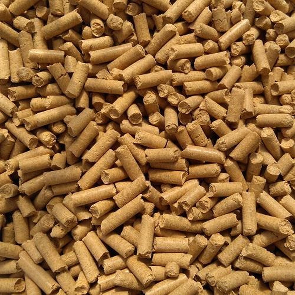 Vlokreeft Pellets (500ml) | Gammarus Pellets | Visvoer