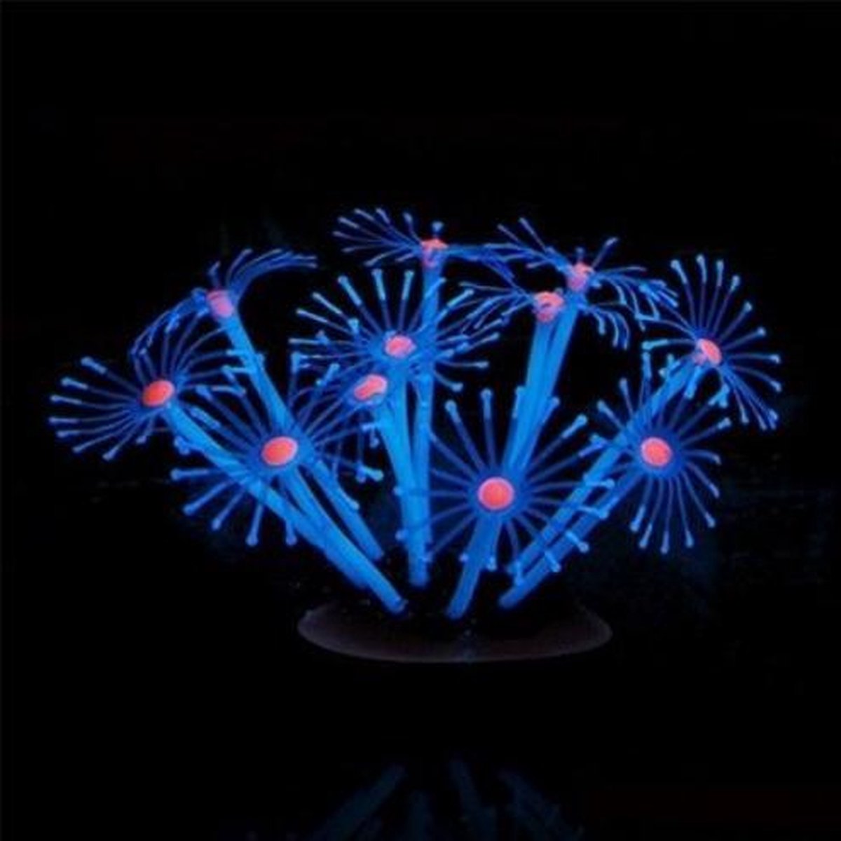 Dierplezier - Aquarium decoratie - Koraal - Plant Fluo - Planten voor aquarium plastiek - Mooie neon planten - BLAUWE  bloemen