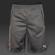 AFC Training Short steel gray-ebony