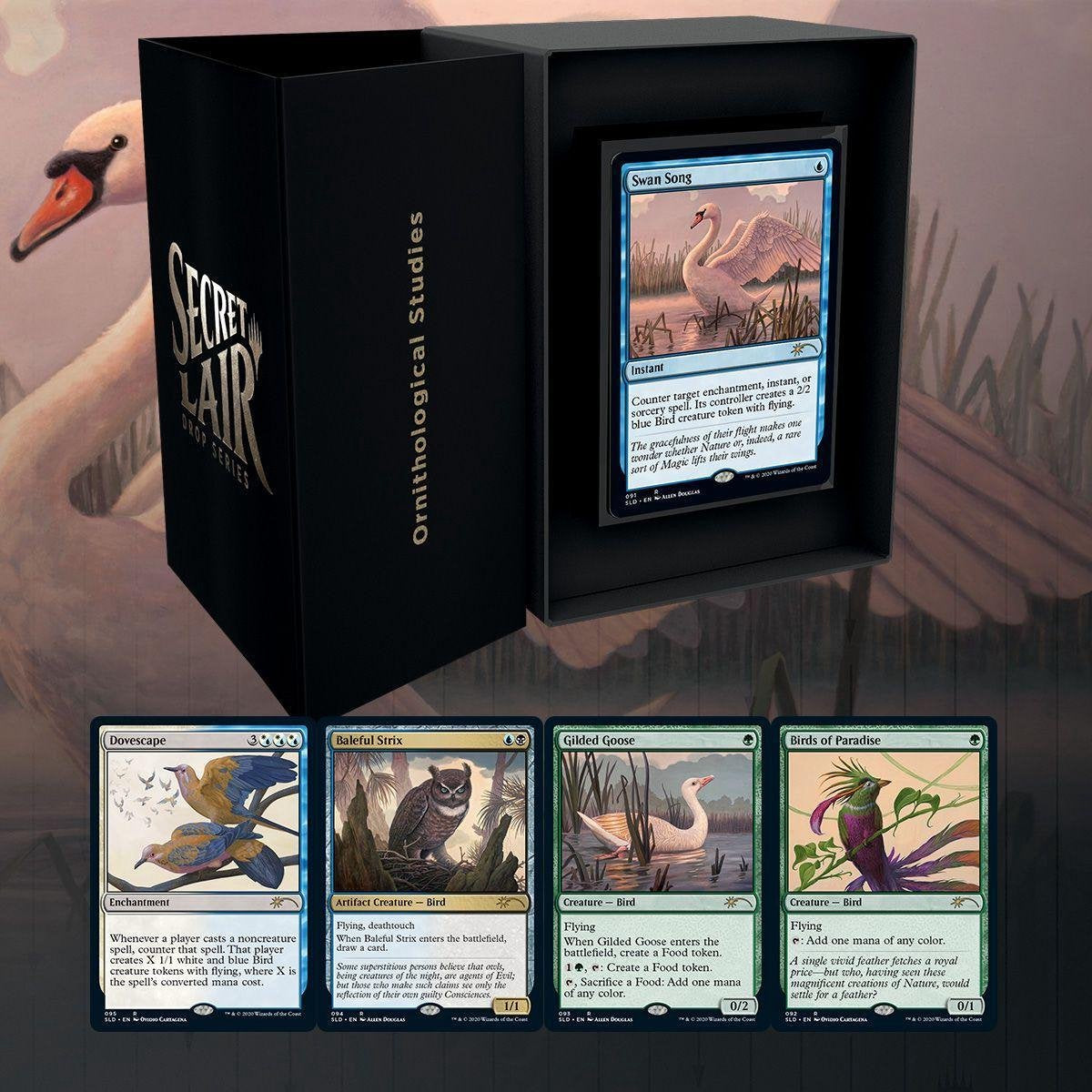 MtG Secret Lair: Ornithological Studies
