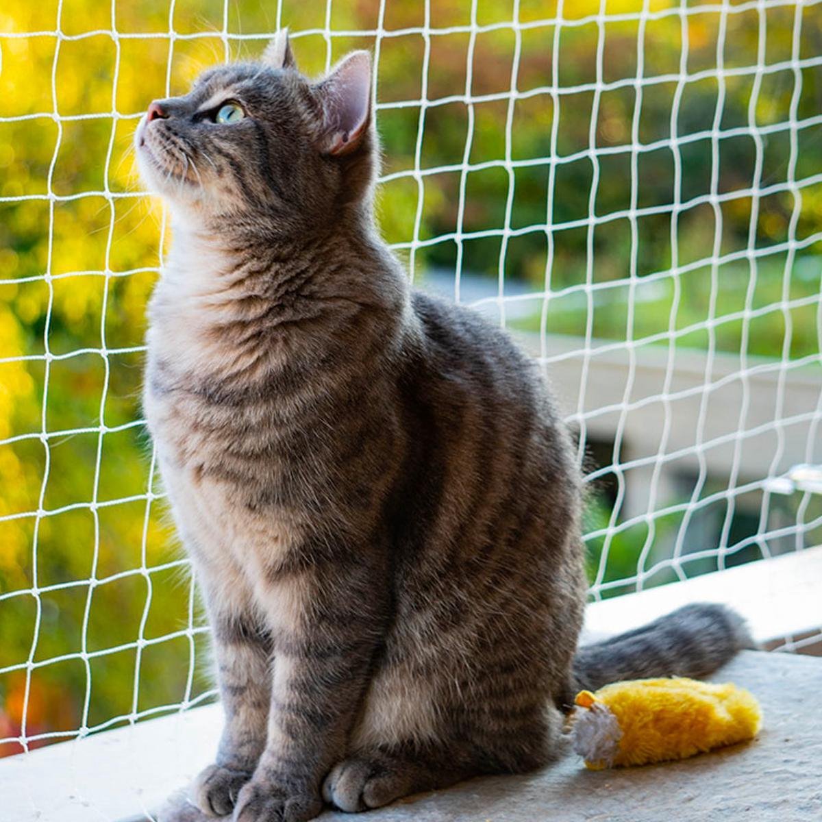 Kattennet Premium - 800 x 300 CM - Kattennet Voor Balkon - Transparant - Balkon net - Makkelijk te monteren