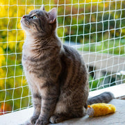 Kattennet Premium - 800 x 300 CM - Kattennet Voor Balkon - Transparant - Balkon net - Makkelijk te monteren
