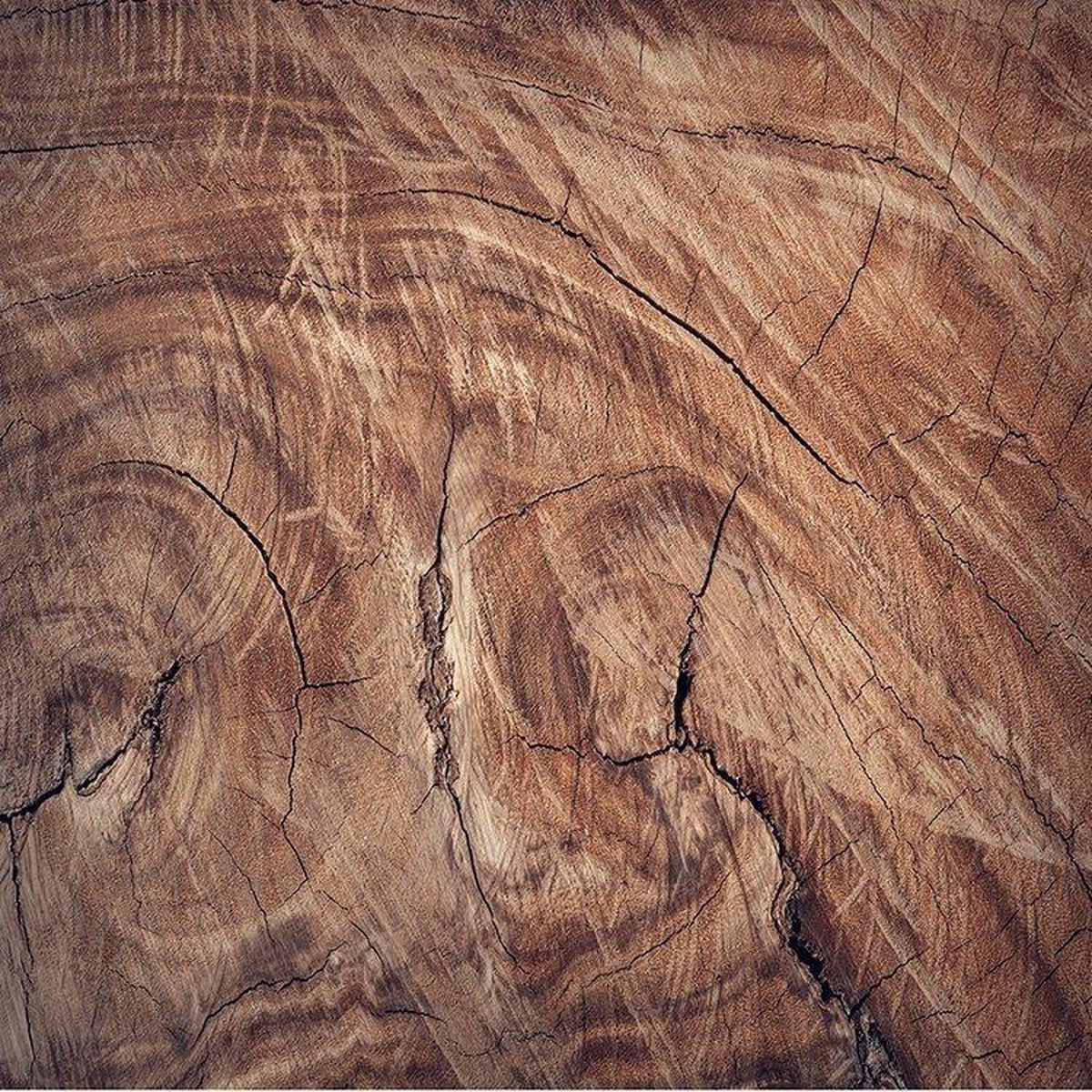 Stylingboard wood trunk